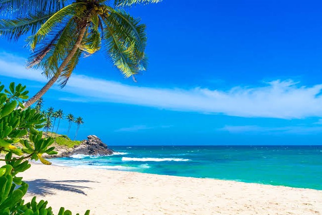 Refreshing Sea Breeze Tour