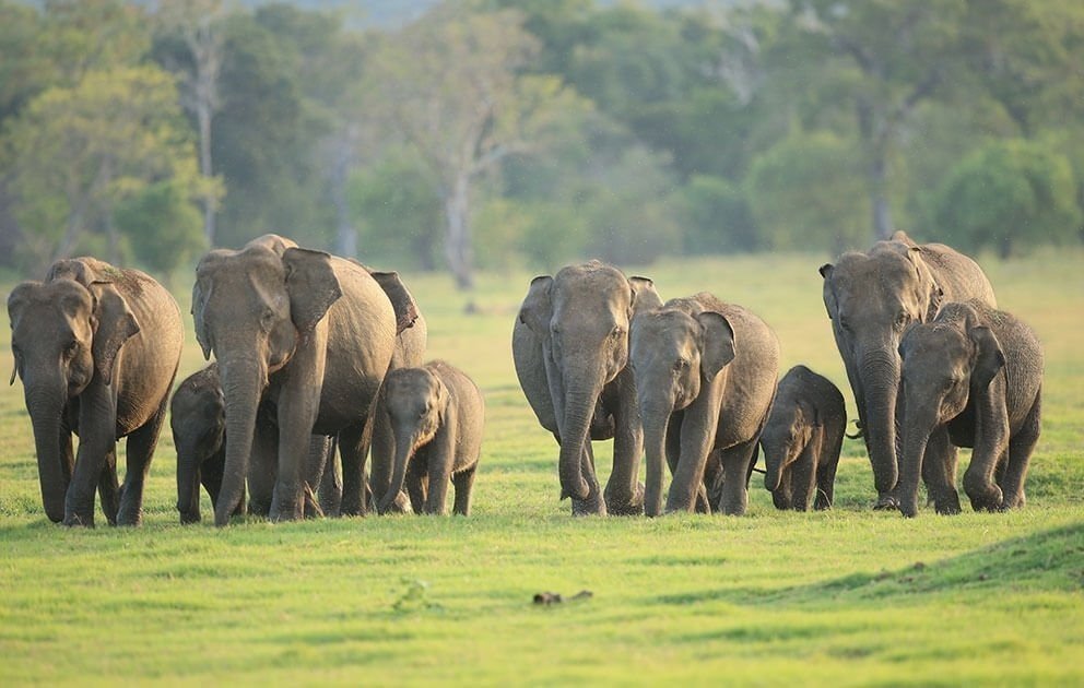 Nature, Wildlife & Eco Tours