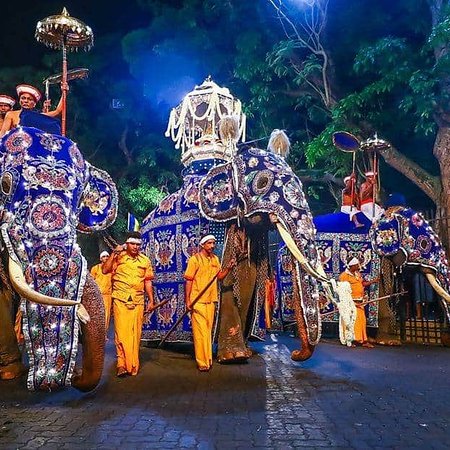 Heritage, Cultural & Diversity Tours